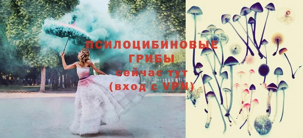 молекула духа Абаза