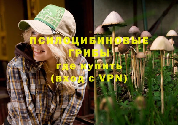 прущие крисы Абинск